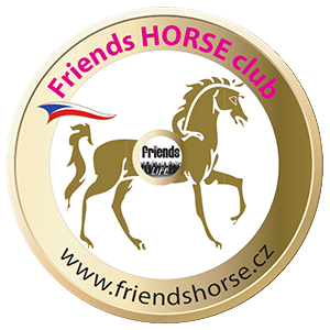 Friends Horse